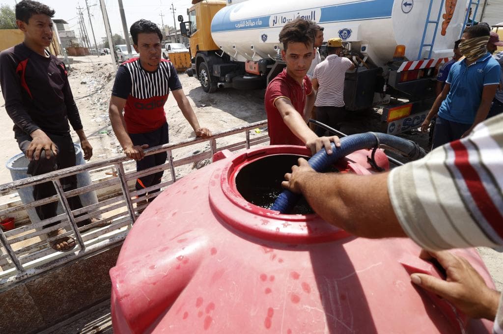 نخيل البصرة فخر العراق الذي أيبسته الحرب والجفاف والواردات الخارجية