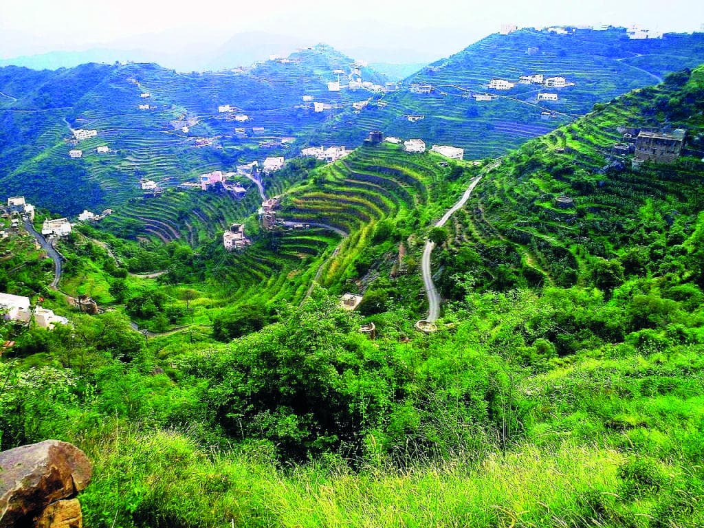 جازان تسلط الضوء على مقومات السياحة الزراعية في فيفاء