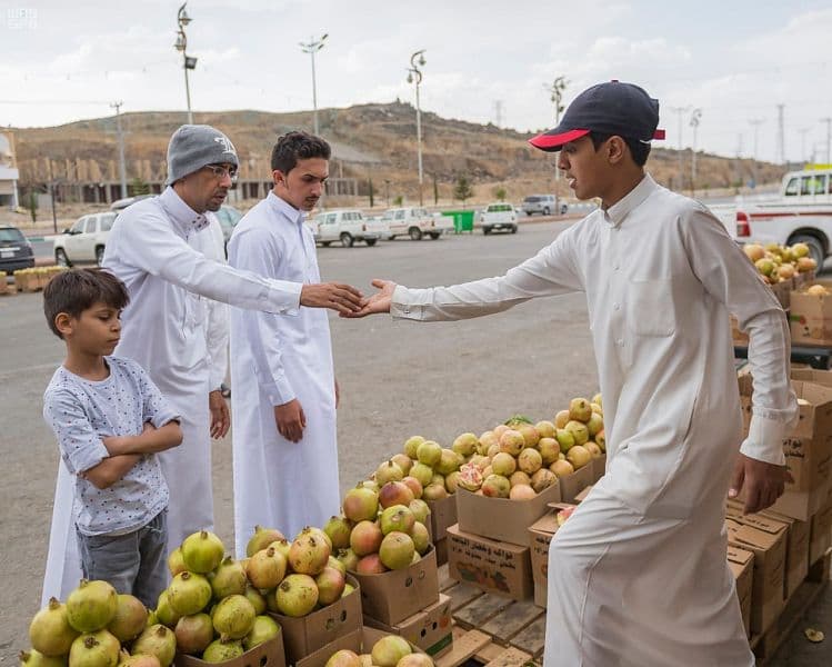 200 ألف شجرة رمان بمزارع الباحة تنتج ما يقارب 30 ألف طن من فاكهة الرمان سنويا