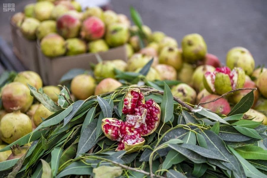 200 ألف شجرة رمان بمزارع الباحة تنتج ما يقارب 30 ألف طن من فاكهة الرمان سنويا