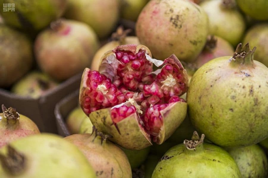 200 ألف شجرة رمان بمزارع الباحة تنتج ما يقارب 30 ألف طن من فاكهة الرمان سنويا