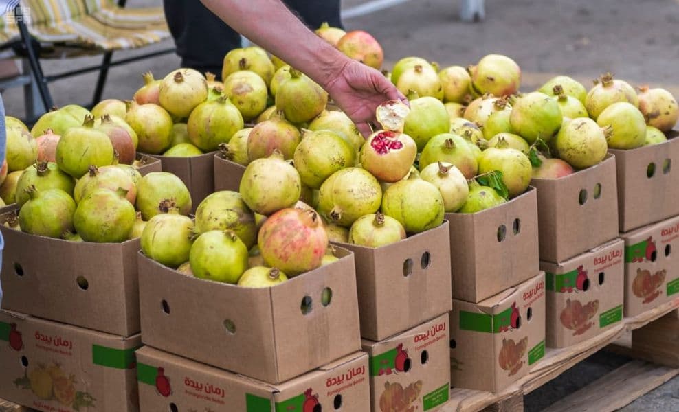 200 ألف شجرة رمان بمزارع الباحة تنتج ما يقارب 30 ألف طن من فاكهة الرمان سنويا