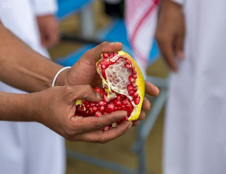 200 ألف شجرة رمان بمزارع الباحة تنتج ما يقارب 30 ألف طن من فاكهة الرمان سنويا