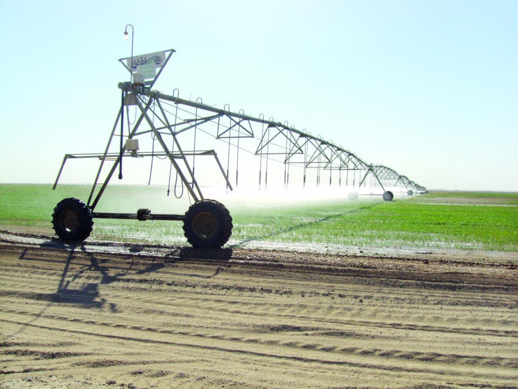 «الصندوق الزراعي»: نستهدف مشاريع التقنيات الحديثة بـ 70 % من التمويل