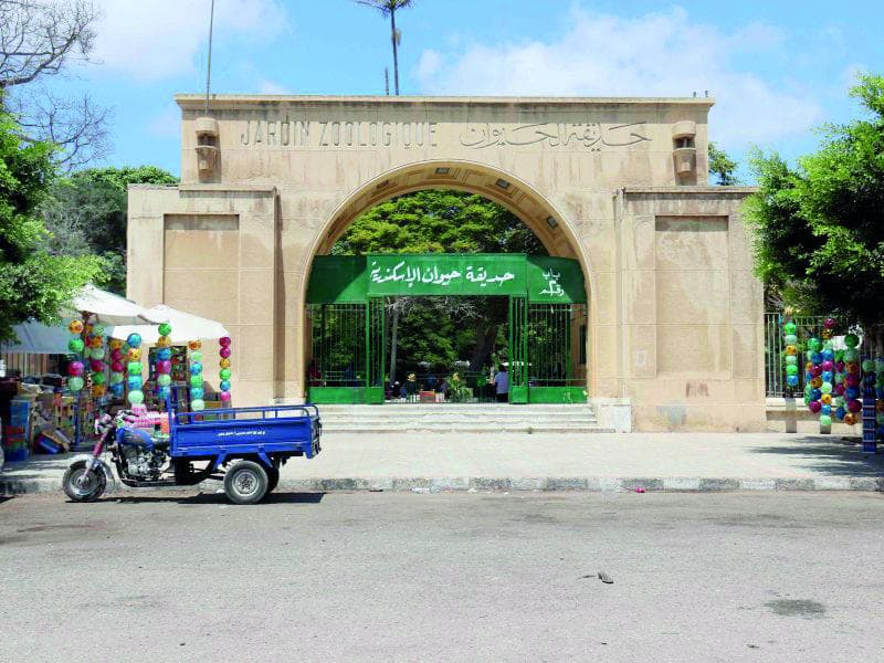 حدائق الحيوان في العالم العربي.. تاريخ من عجائب المخلوقات