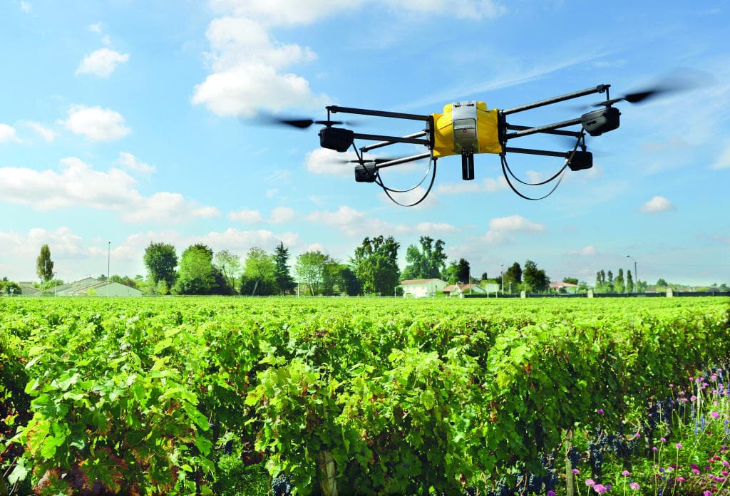 تقنيات نباتية ناشئة تطوي صفحة الزراعة التقليدية بالرقمنة