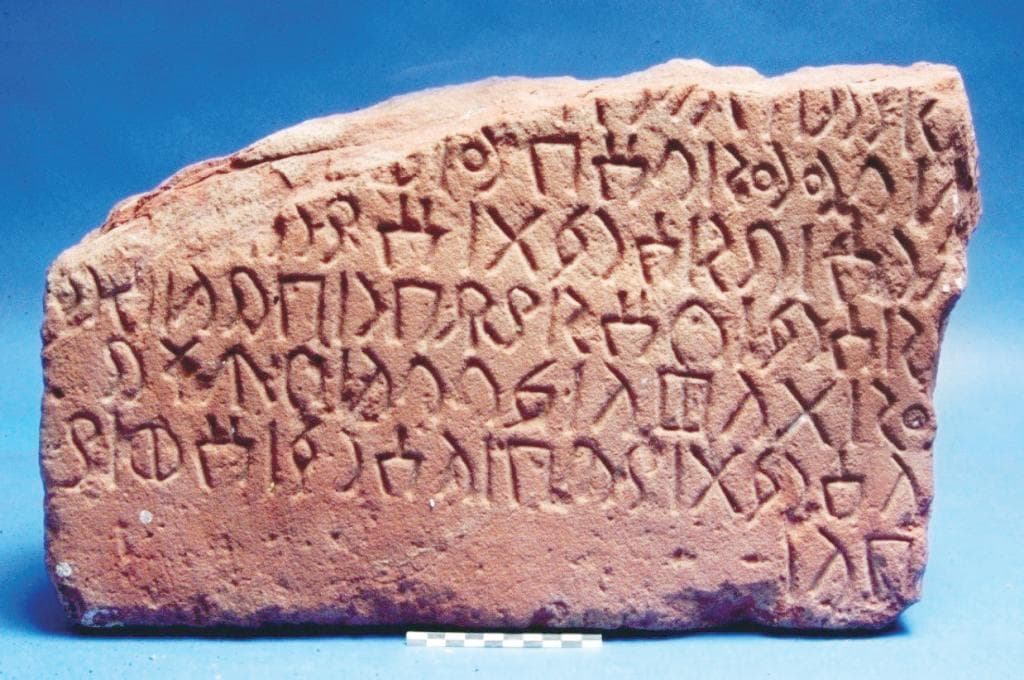 في يومها العالمي .. «العربية» لغة الحضارة ولسان القرآن