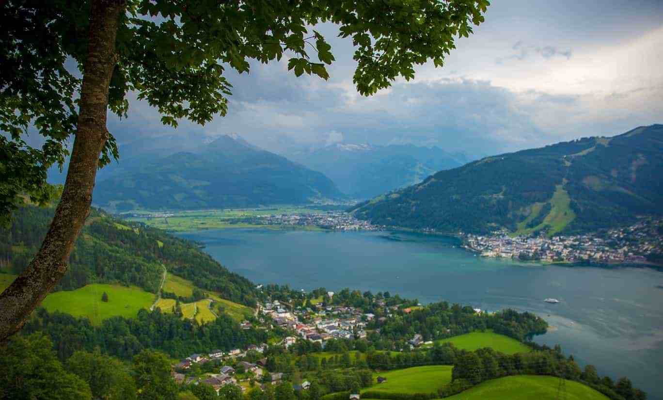 دراسة : السكن في مناطق تزيد فيها الخضرة يحسن صحة القلب