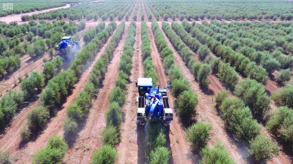 مشروع التنمية الريفية المستدامة : 35 ألف فرصة عمل .. والفائدة تطول 300 ألف مواطن