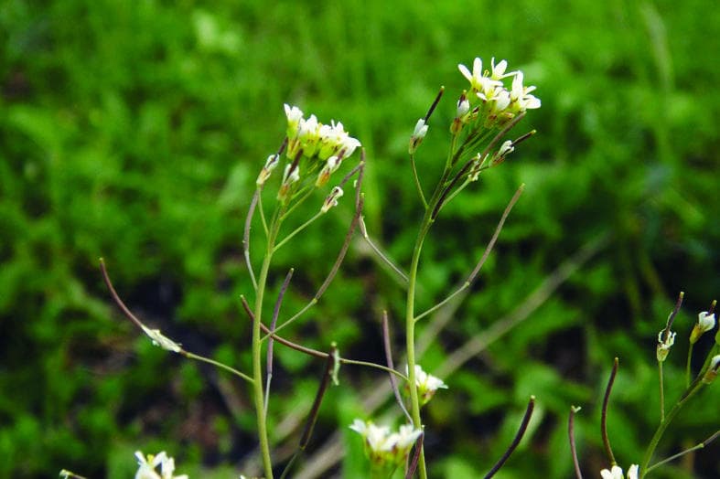 الفلين والسوبرين ولحظة «وجدتها»