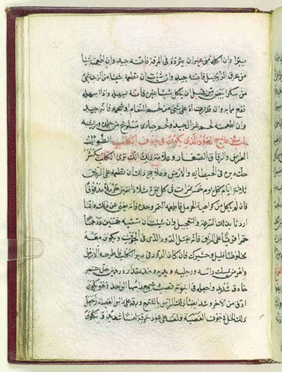 المقناص .. الصيد متواصل والوسائل متغيرة