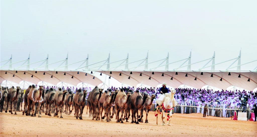 ابن دغيثر: «لطامة» مستمرة .. وسنجهز فرديات بديلة