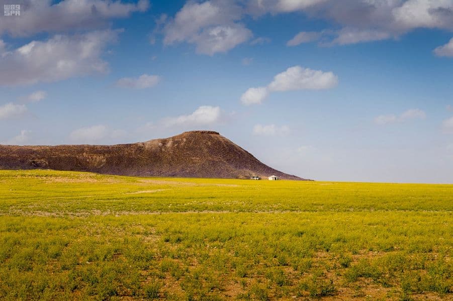 ربيع الجوف يكسو الأرض بألوان الطبيعة