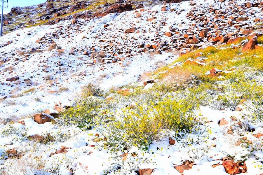 جبال اللوز تودع الشتاء إيذانا بدخول فصل الربيع