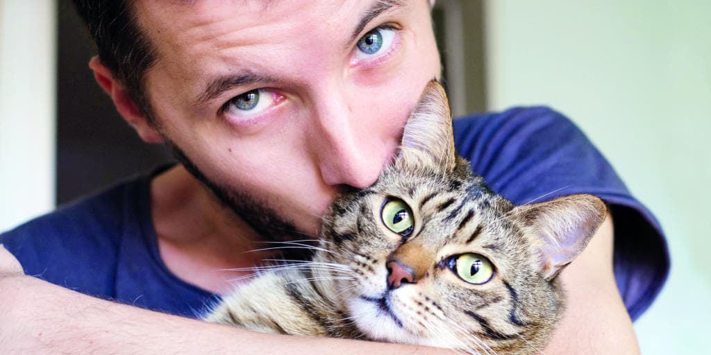 ربط مشتريات الصين من «الصويا» بإنفلونزا الخنازير