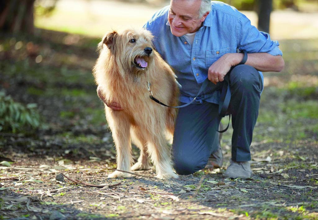 ربط مشتريات الصين من «الصويا» بإنفلونزا الخنازير
