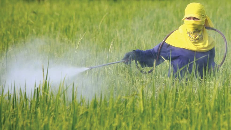 مبيدات "مونسانتو" الضارة تخيب آمال غرس "باير"