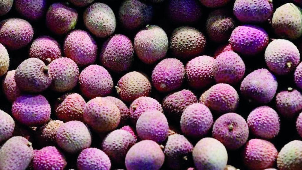 فاكهة تقتل 43 طفلا هنديا خلال أسبوعين