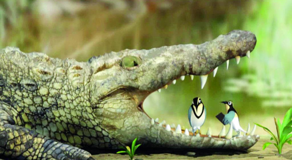 التمساح وعصفور القطقاط .. مصلحة مشتركة