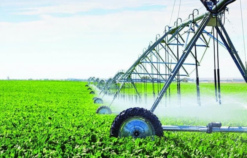 "البيئة" ارتفاع تراخيص المشاريع الزراعية 47.7% خلال النصف الأول من 2019