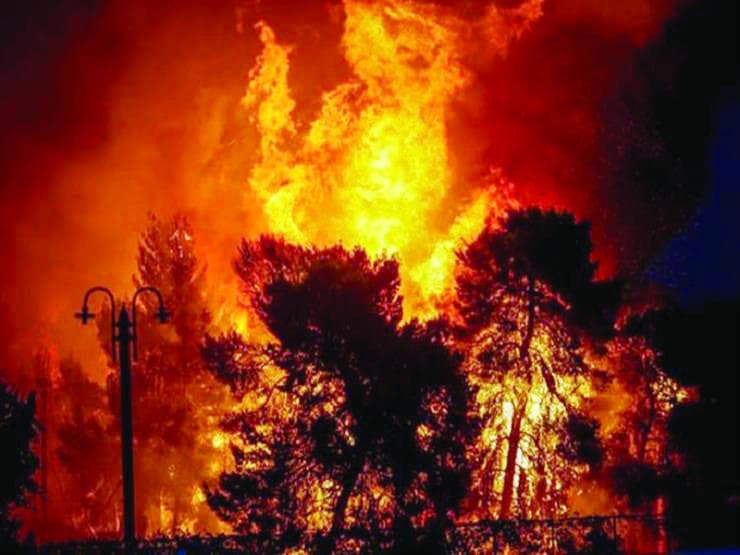 حرائق الغابات تستعر في اليونان .. والدخان يغطي سماء أثينا