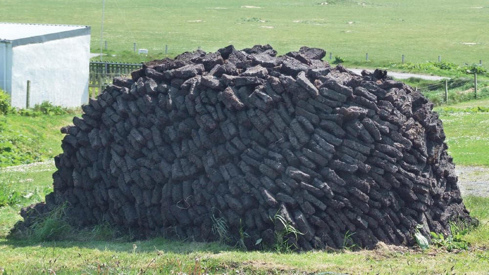 تغير المناخ يهدد مورد الفحم الأخضر في إيرلندا