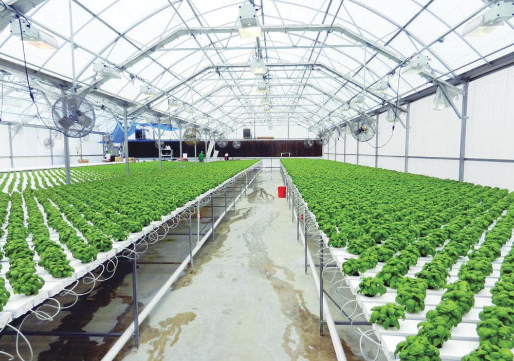 «البيئة» تدرس حصر مشتريات الجهات الحكومية في مراكز التسويق الزراعي