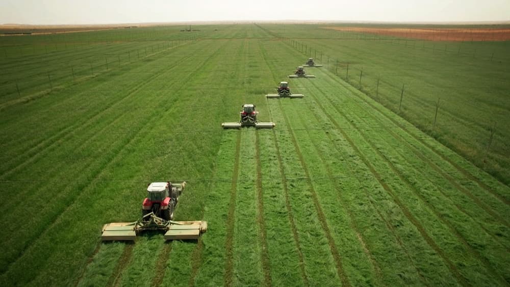 مجلس إدارة الشركة الزراعية الحكومية في طور التشكيل .. والإعلان عنه قريبا