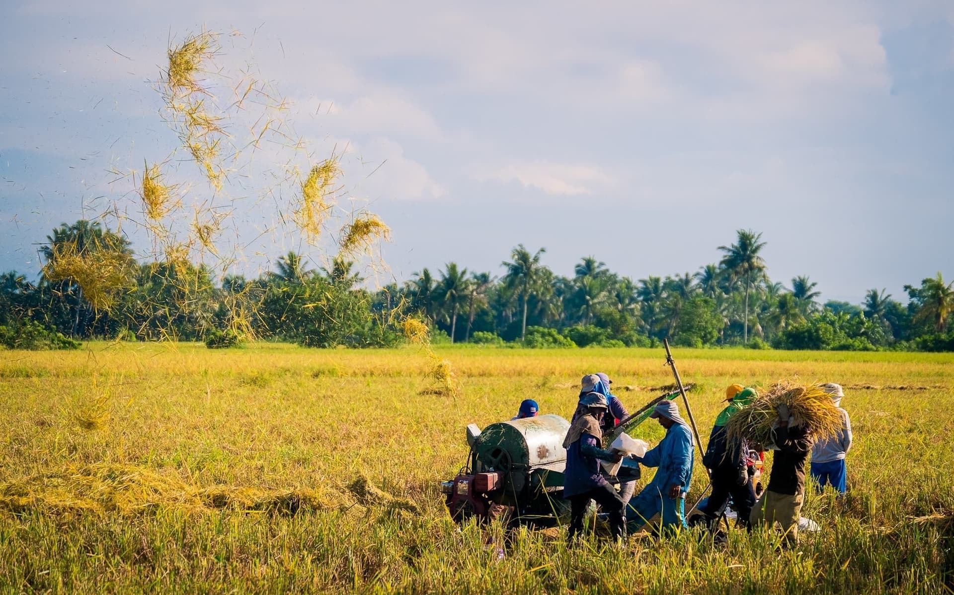 للتخلص من النفايات .. قرية فلبينية تبادل الأرز بالقمامة