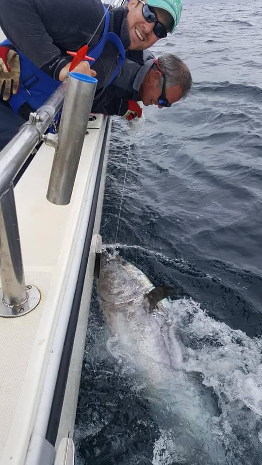 صيادون يعيدون سمكة تونة قيمتها 3 مليون دولار للمياه