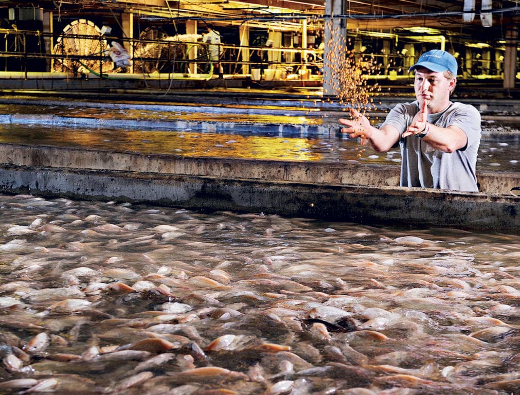 «الزراعة» لـ"الاقتصادية" : شركة نرويجية تنشئ أول «مزرعة سلمون» في السعودية