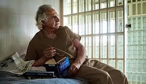 كالبشر .. النمل يخوض حربا دائمة تحت الأرض