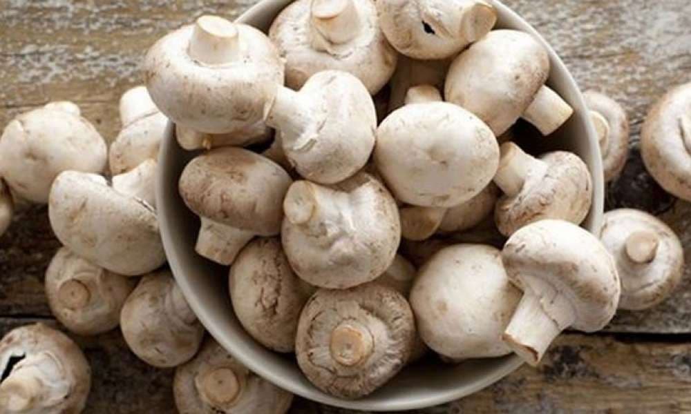 أكل المشروم مرتين في الأسبوع يخفض نسبة الإصابة بسرطان البروستاتا