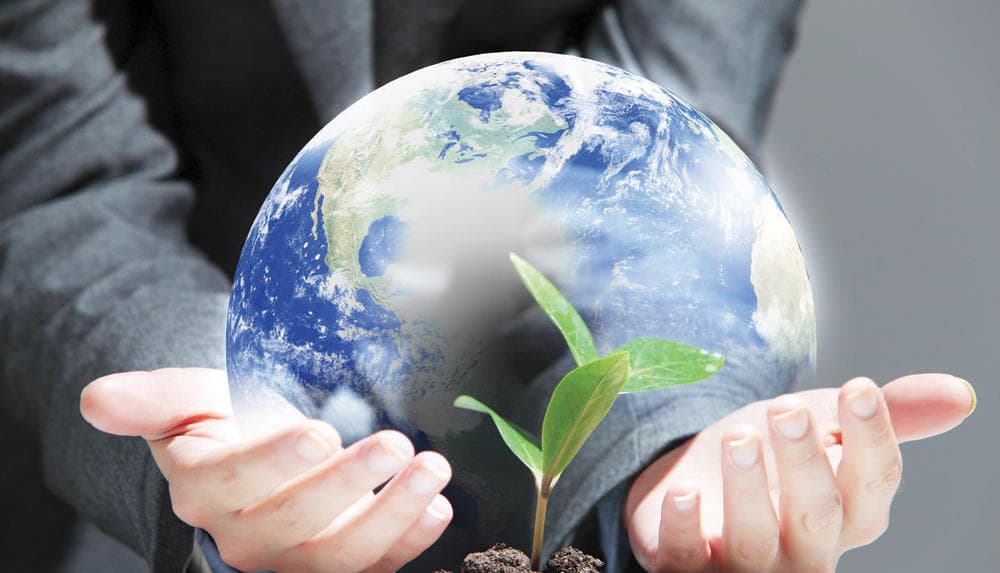 خريطة طريق واحدة للتقدم في شأن تغير المناخ