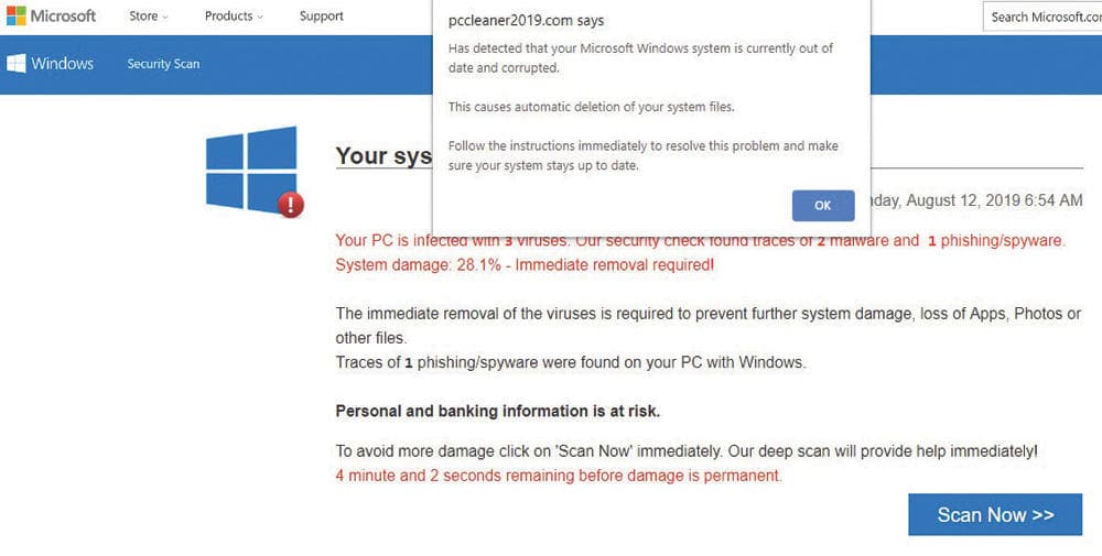 5.5 مليون مستخدم وقعوا ضحية إشعارات الإنترنت الوهمية