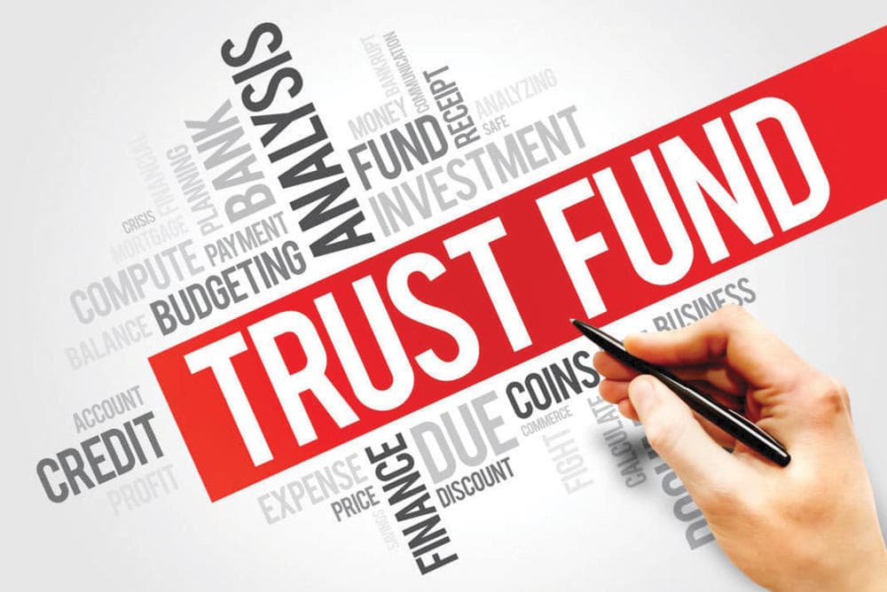 صناديق مخضرمة للعائلات