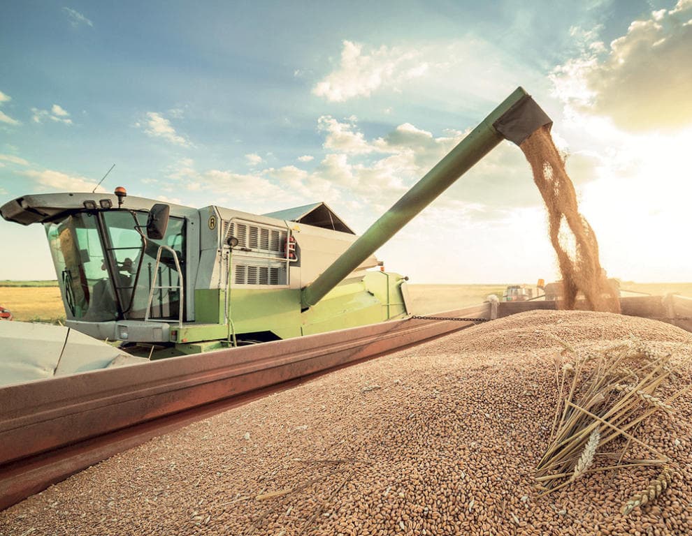 «الفاو»: ارتفاع أسعار الغذاء إلى أعلى مستوياتها منذ 5 أعوام