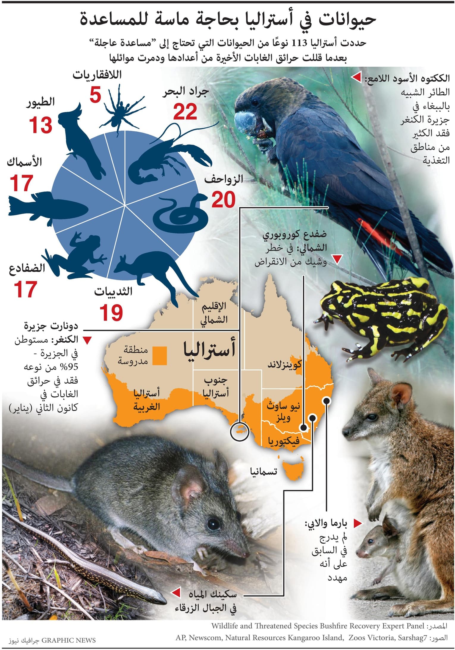  113 نوع من الحيوانات تحتاج لمساعدة عاجلة بعد الحرائق الأخيرة في أستراليا