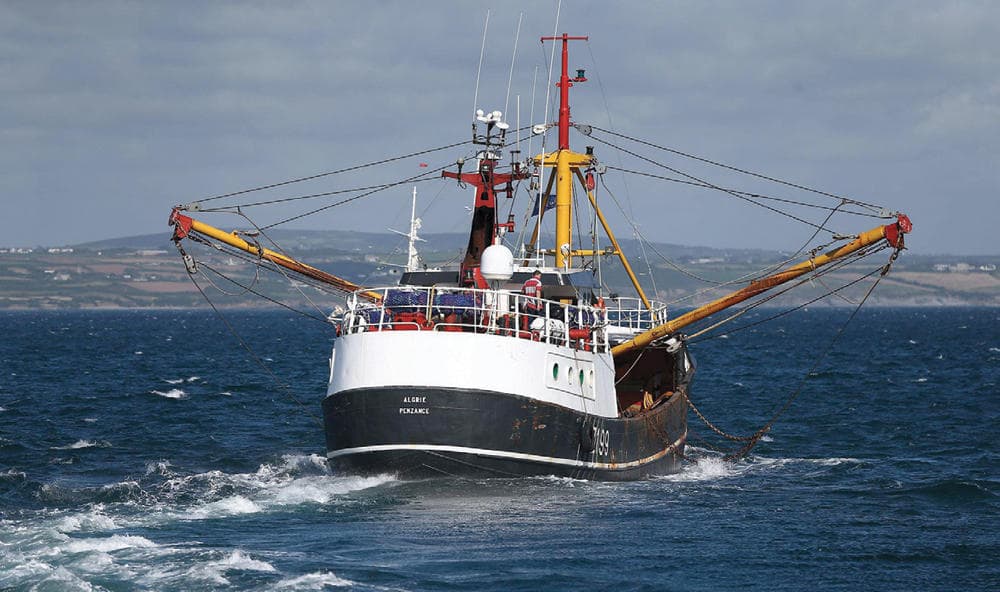 «منظمة التجارة» في سباق مع الزمن لإنجاز مفاوضات إعانات مصائد الأسماك