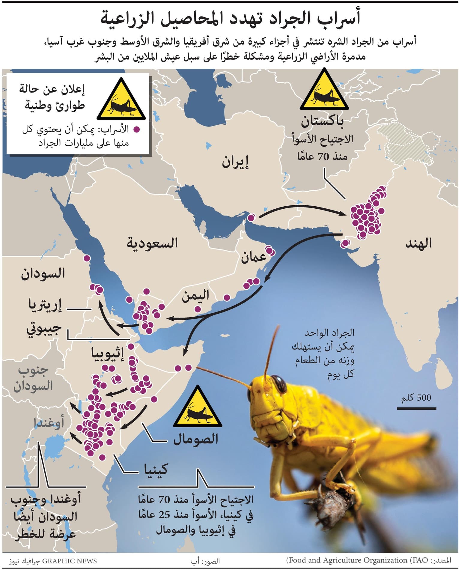 أسراب الجراد تهدد المحاصيل الزراعية