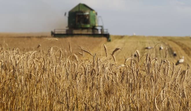 "الحبوب" ترسي 1.2 مليون طن من الشعير تمثل الدفعة الثانية لـ 2020