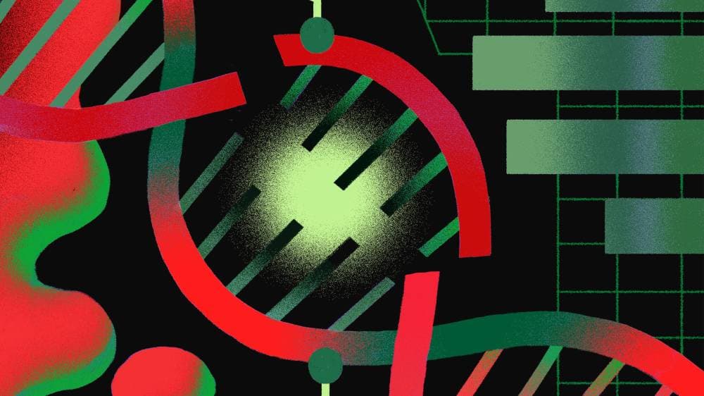 هكذا يبدو الجينوم البشري.