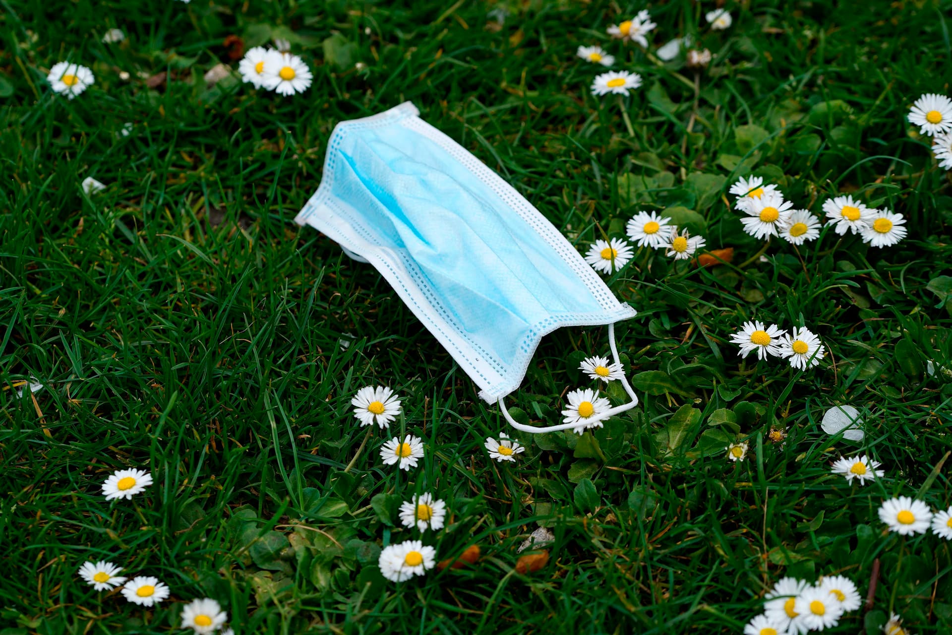 أوبئة القرن الـ 21 أقل تهديدا للحياة من نظيراتها في القرن السابق