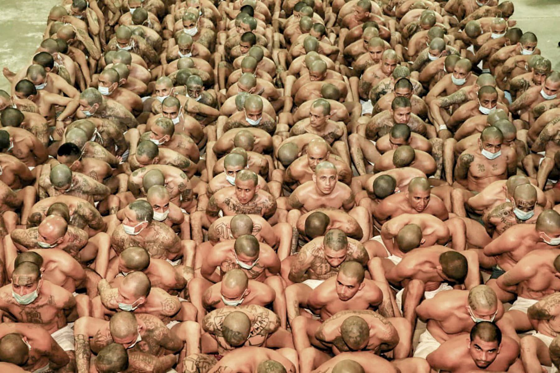 سجناء في السلفادور يخضعون للتدقيق وسط جائحة كورونا 