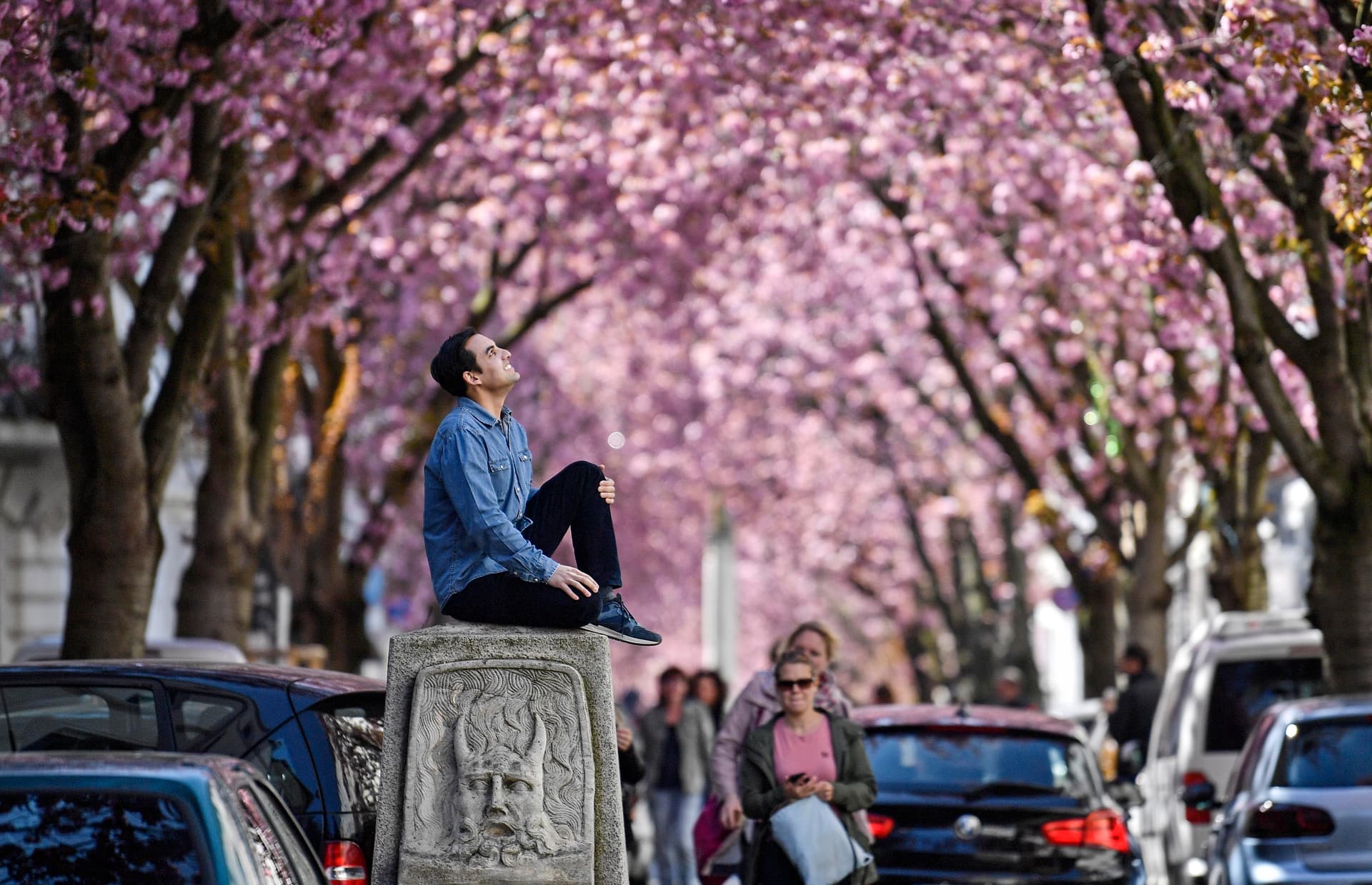    سياح يحتفلون بأزهار الكرز في اليابان وألمانيا رغم تزايد حدة انتشار فيروس كورونا 