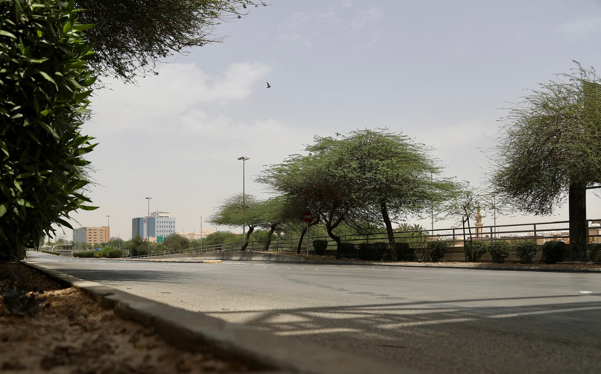 سكان العاصمة يلتزمون بمنع التجول لمدة 24 ساعة