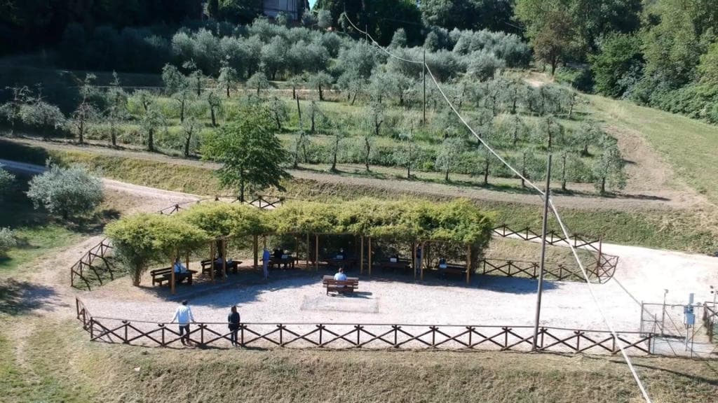 وسط أشجار الزيتون.. طلاب في إيطاليا يخوضون الامتحانات بسبب كورونا