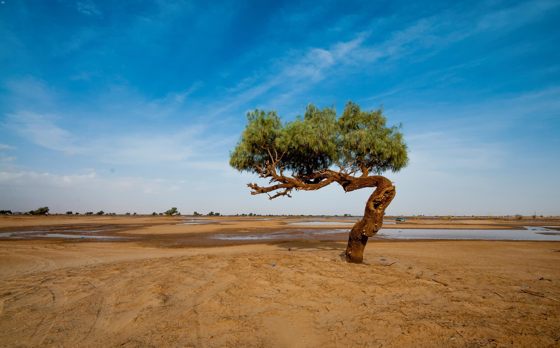 منطقة نجران .. مقومات طبيعية ومواقع أثرية جاذبة للسياحة  