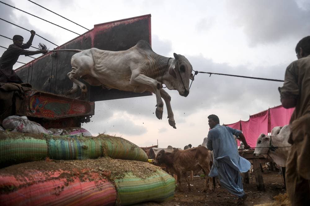 غرفة جدة تطلق مبادراتها في تنمية المنشآت الصغيرة والمتوسطة