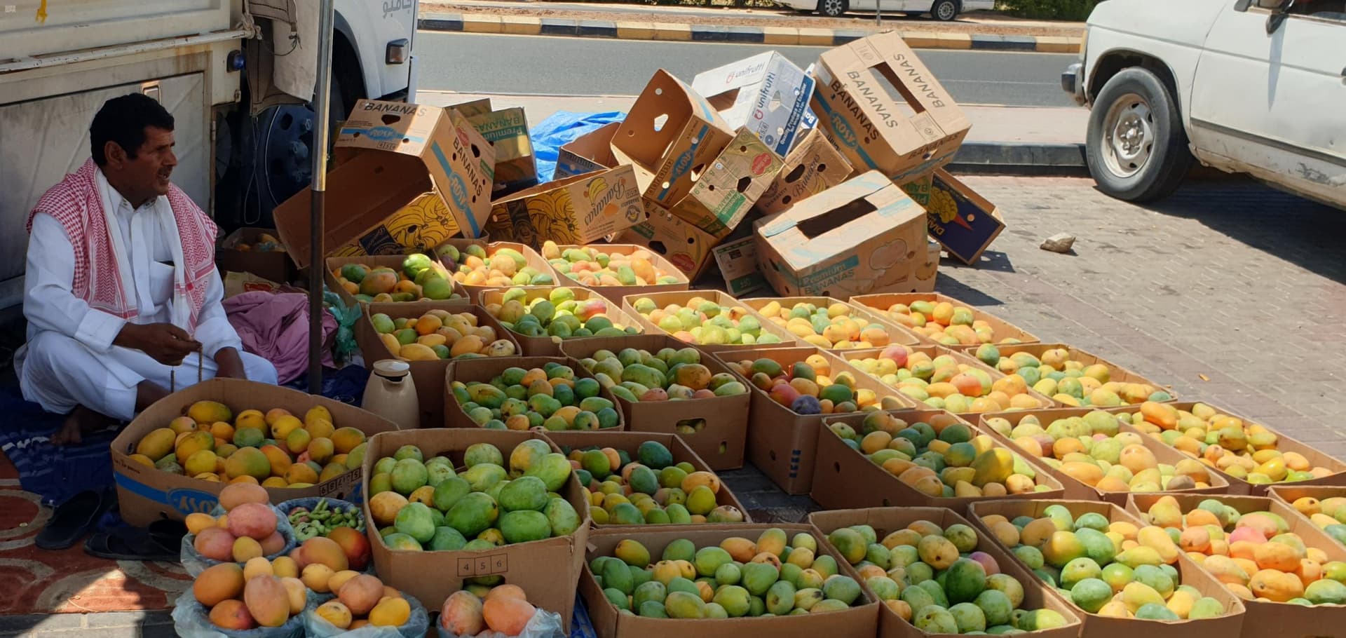 بسعر 10 ريالات لكيلو "المانجو" .. أسواق أملج تعرض منتجها الأشهر